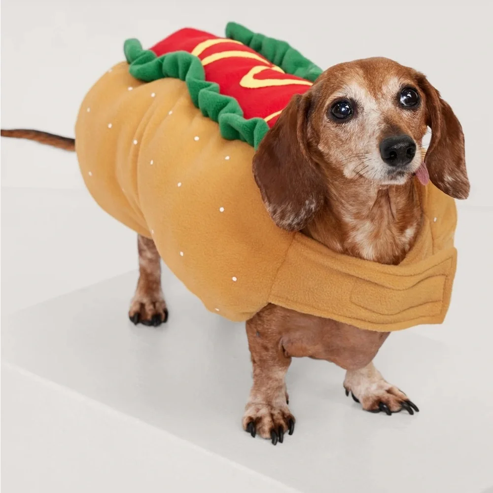 Halloween Costume Hot Dog